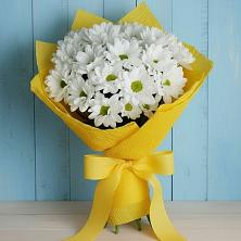 Букет цветов из:  Хризантемы в Поселке Учхоза Александрова
