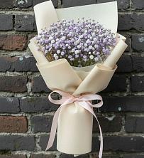 Букет цветов из:  Гипсофила в Поселке Учхоза Александрова