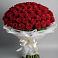 Букет 101 Красная роза Блэк Мэджик в Поселке Учхоза Александрова