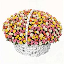 Премиум букет из: Розы в Поселке Учхоза Александрова