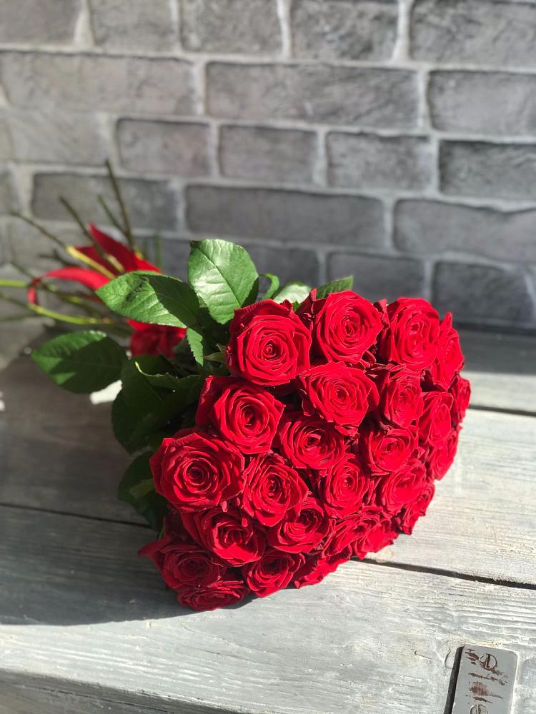 Букет Красные розы Фридом в Поселке Учхоза Александрова