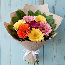 Букет цветов из:  Герберы в Поселке Учхоза Александрова