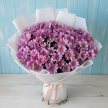 Букет цветов из:  Хризантемы в Поселке Учхоза Александрова