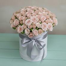 Цветочная композиция из Розы в шляпной коробке #REPLACE_PRED# Поселке Учхоза Александрова