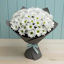 Букет цветов из:  Хризантемы в Поселке Учхоза Александрова