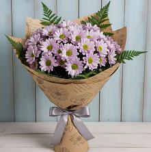 Букет цветов из:  Хризантемы в Поселке Учхоза Александрова