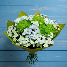 Букет цветов из:  Хризантемы в Поселке Учхоза Александрова