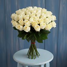 Букет 51 Белая роза Эдлесс Лав в Поселке Учхоза Александрова