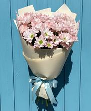 Букет цветов из:  Хризантемы в Поселке Учхоза Александрова