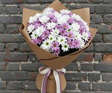 Букет цветов из:  Хризантемы в Поселке Учхоза Александрова