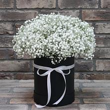 Цветочная композиция из Гипсофила в шляпной коробке в Поселке Учхоза Александрова