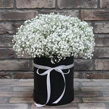 Цветочная композиция из Гипсофила в шляпной коробке в Поселке Учхоза Александрова