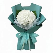 Букет цветов из:  Гортензия в Поселке Учхоза Александрова